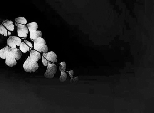 監(jiān)控攝像頭畫面 監(jiān)控攝像頭畫面