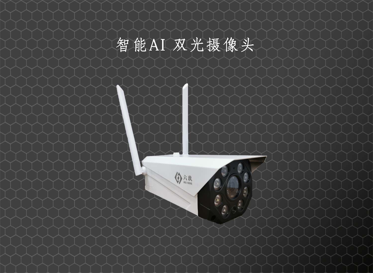 智能雙光攝像頭 成都監(jiān)控安裝公司 智能雙光攝像頭 成都監(jiān)控安裝公司